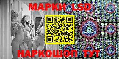 гидра Ставрополь