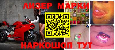 гидра Ставрополь