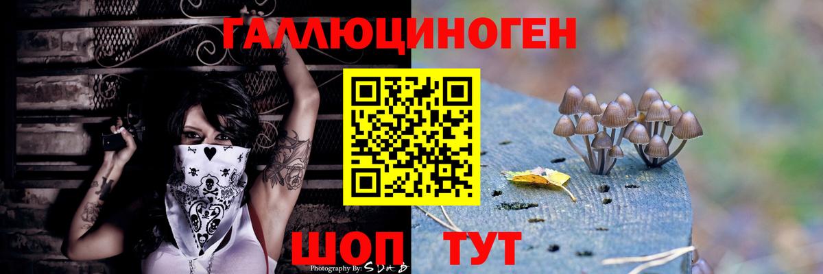 Псилоцибиновые грибы прущие грибы Партизанск